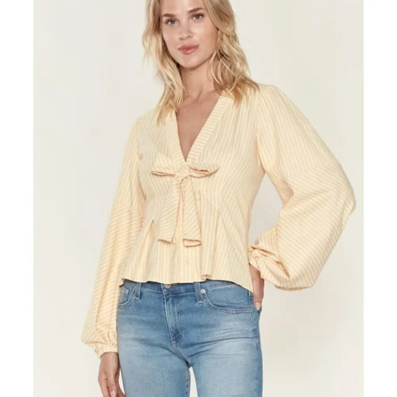 Petersyn Tops - Petersyn Elinor Top NWT Plunging Neckline Long Sleeve Pleated Blouse Size XS